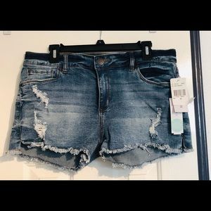 NWT! STS Blue Eleonora Distressed Fray Hem Shorts